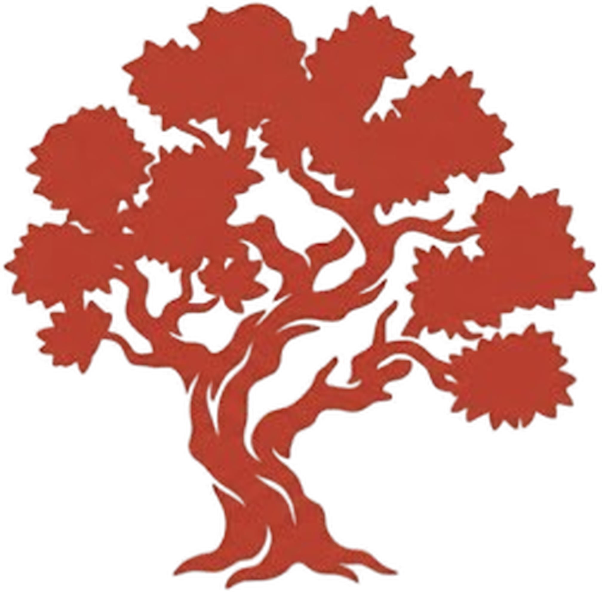 Madrone Logo